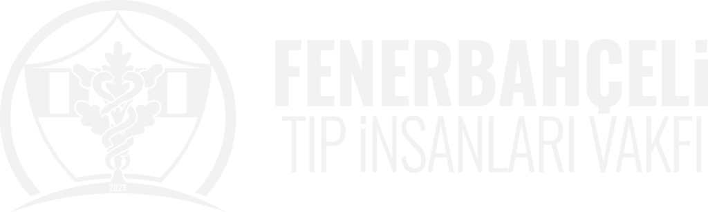 FenTiV Logo H Gray